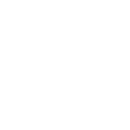 about 02 icon02